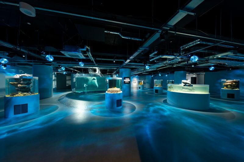 Felissimo Chocolate Museum Admission Ticket in Kobe - Booking and entry tips