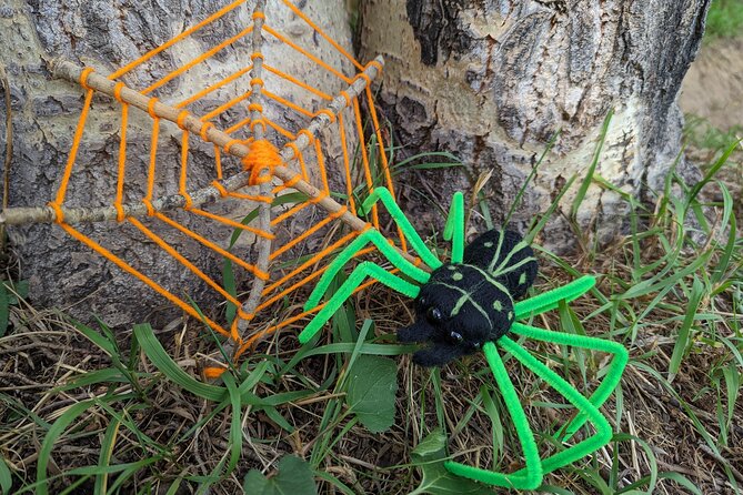 Felted Halloween Spider Art Class in Estes Park - Event Details