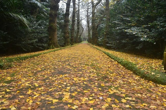 Fenais Da Luz Small-Group Full-Day Furnas Tour  - Ponta Delgada - Tour Details
