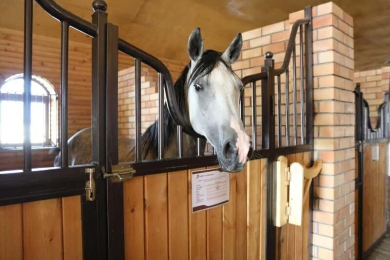 Fergana: Valley Horses Complex Tour with Horse Riding - Good To Know