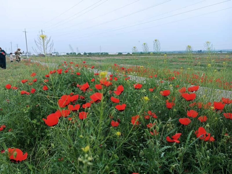 Fergana Valley: tour to ancient civilization and traditions - FAQ