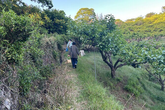 Fermented Bento Workshop on the Yamanobe-no-michi Trail (private) - Final Thoughts