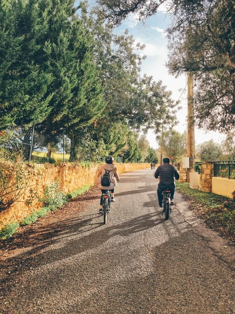 Ferragudo and Carvoeiro: Private e-Bike Tour - Pricing and Value