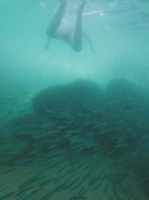 Ferragudo: Private Guided Kayak & SUP Tour - Practical Details and Value