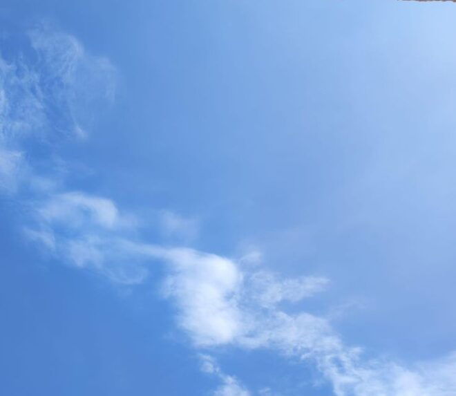Ferrara: Mindfulness Experience in Nature - Frequently Asked Questions