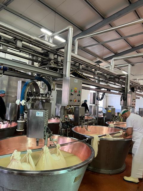 Ferrari Museum, Parmesan Cheese, Balsamic Vinegar Food Tour - Customer Review