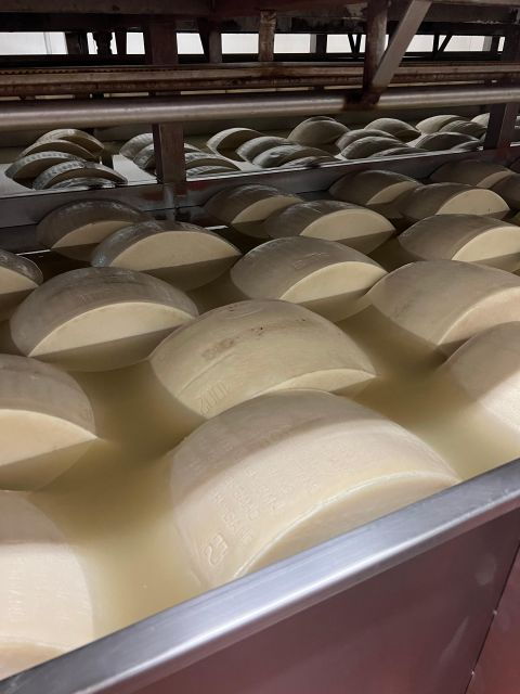 Ferrari, Parmesan and Balsamic Day Tour From Bologna - Information for Train Travelers