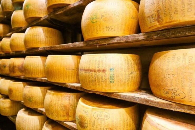Ferrari Parmesan Cheese Balsamic Vinegar Wine: Private Tour - Itinerary Overview