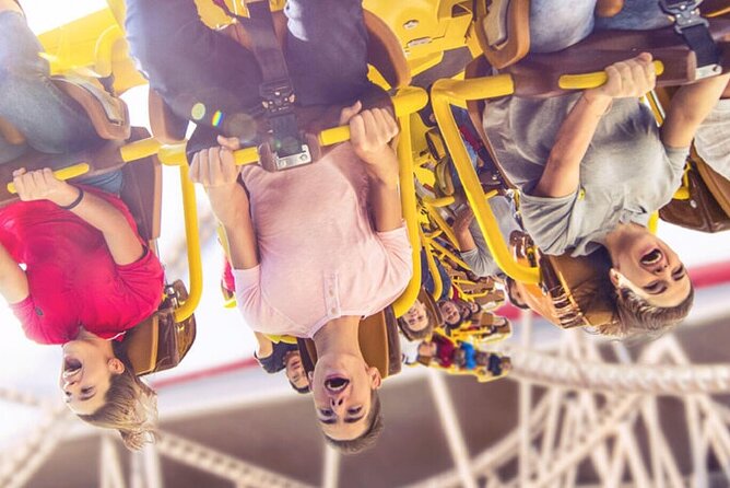 Ferrari World Abu Dhabi Tickets With Private Transfers - Highlights of Ferrari World Abu Dhabi