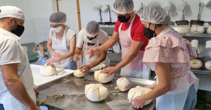 Ferreries: Cheesemaking and Farm-Fresh Product Tasting - Activity Overview