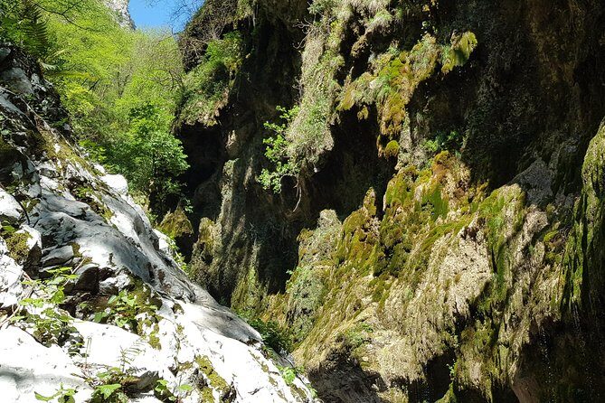 Ferriere waterfalls hike - Amalfi and Ravello Coast - An In-Depth Look at the Ferriere Waterfalls Hike