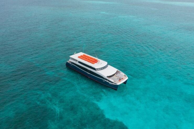 Ferry: From Playa Del Carmen to Cozumel by Xcaret - Booking Details