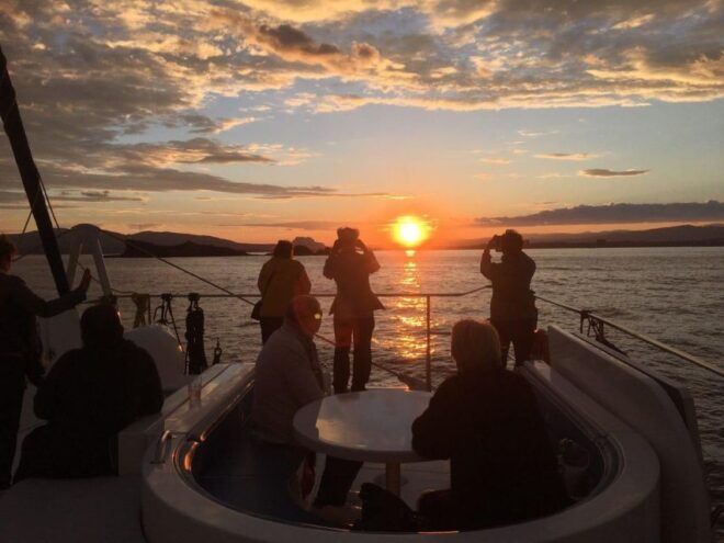 Ferry Transfer One Way or Return : From Denia & Javea: - Languages and Highlights