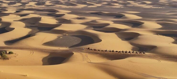 Fès: 2 Days Desert Trip to Merzouga (1 Night), Return to Fès - Experience Highlights