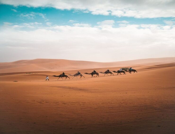 Fes: 3-Day Sahara Desert & Atlas Mountains Tour to Marrakech - Host and Pickup Information