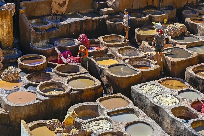 Fes Al Attarine Madrasa & Chouara Tanneries Half-Day Guided Tour - Key points to know