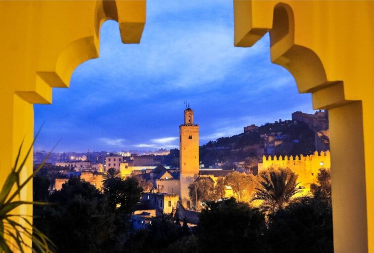 Fes : Cultural Day Tour - Experience Highlights and Activities