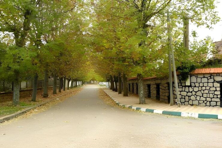 Fes: Day Trip to Middle Atlas: Imouzzer, Ifrane, Azrou - Imouzzer Kandar Exploration