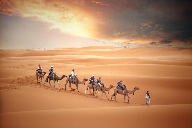 Fes Desert Tour 2 Days - Reviews and Ratings