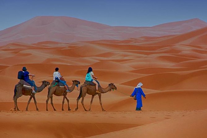 Fes Desert Tour 3 Days - Pickup and Meeting Details