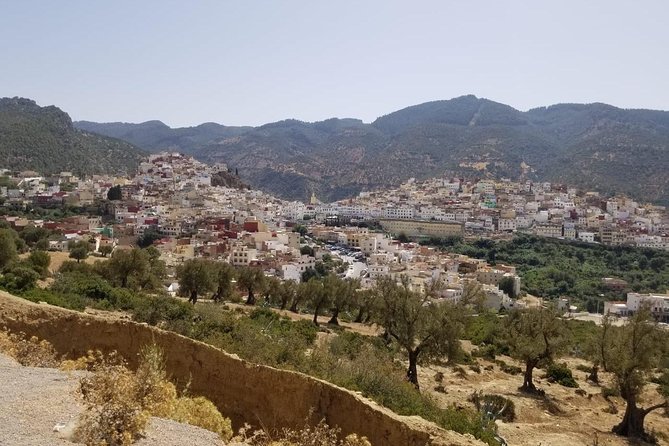 Fes Full Day Guided Tour - Tour Highlights