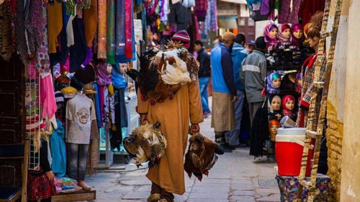 Fes : Half -Day Old Medina,Guided Walking Tour - Experience Highlights