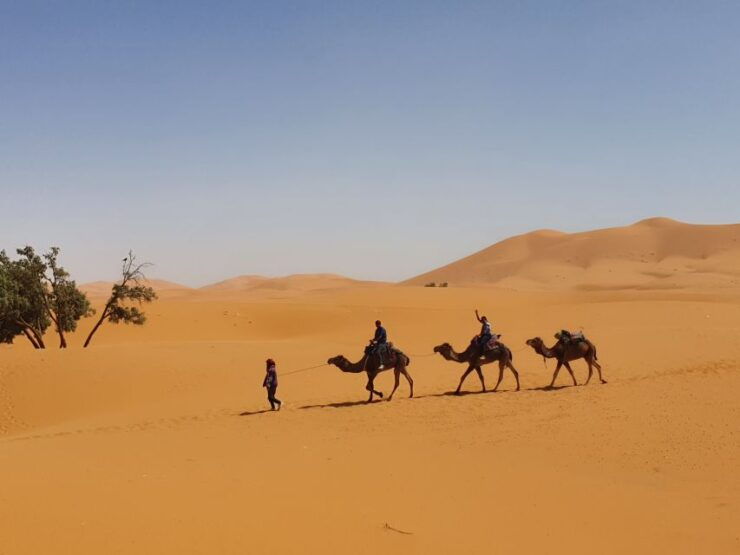 Fes: Merzouga Desert 2-Day Tour - Experience Highlights