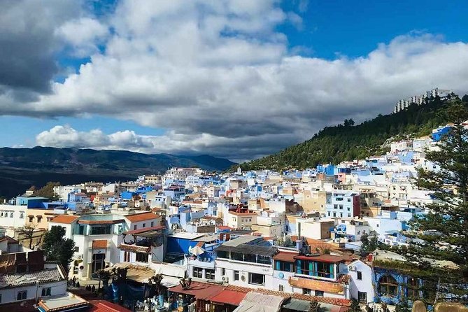 Fes to Chefchaouen Day Trip - Common Questions