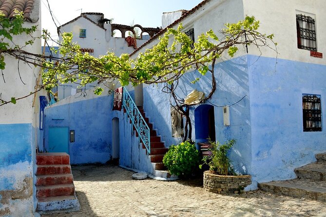 Fes to Chefchaouen Day Trip - Trip Overview