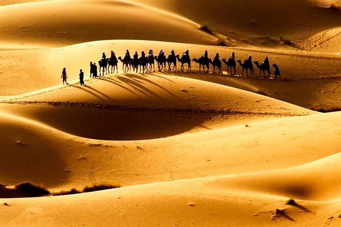 Fes to Fes 2 Days via Merzouga Desert Tour - Special Offer Details