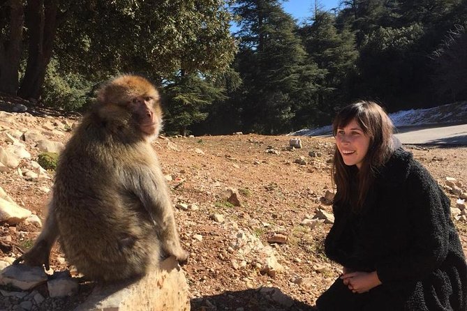 Fes To Fes Desert Tour 3 Days 2 Nights Merzouga - Questions and Help Center