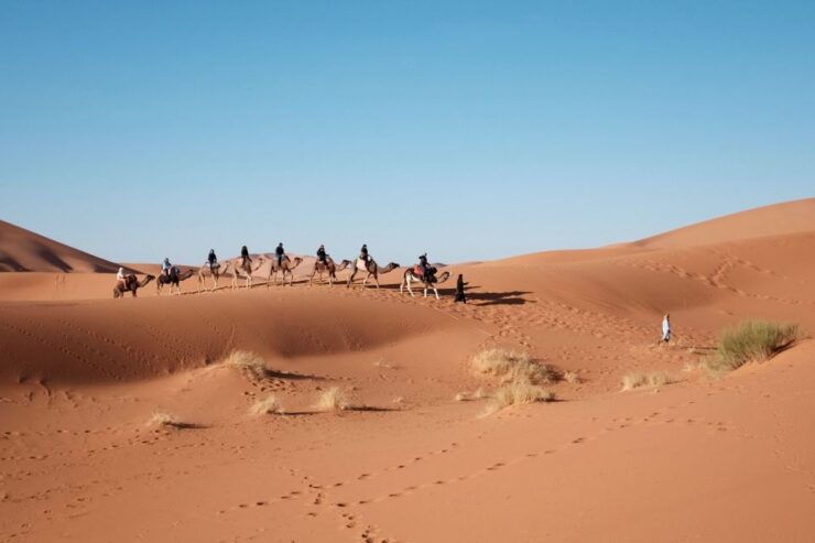 Fes To Marrakech: 3-Day Desert Tour - Tour Duration and Language Spoken
