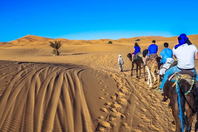 Fes to Marrakech 3 Days Desert Tour - Customer Reviews