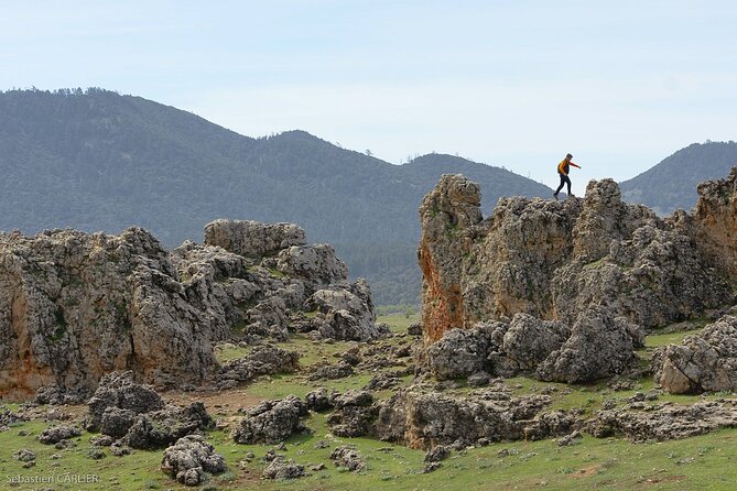 Fes to Middle Atlas Day Trip - Scenic Drive Through Middle Atlas