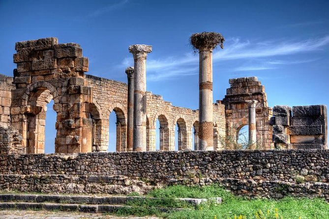 Fes to Volubilis Day Trip - Highlights of the Fes to Volubilis Day Trip