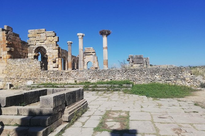 Fes to Volubilis, Moulay Idriss and Meknes Private Day Trip - Traveler Photos and Reviews