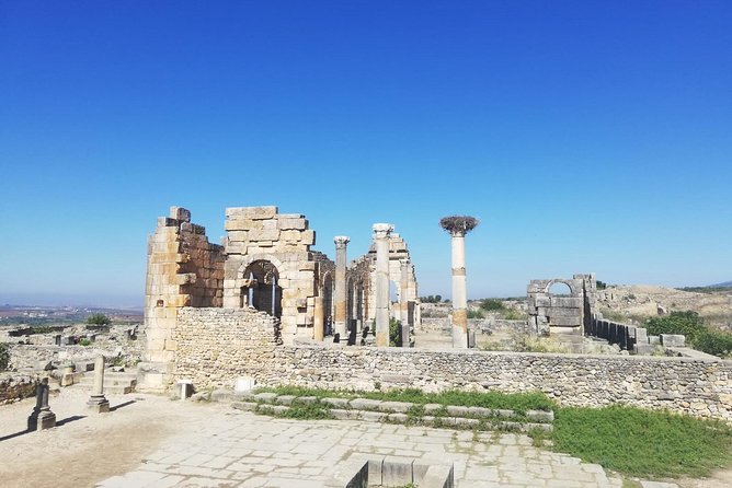 Fes to Volubilis, Moulay Idriss and Meknes Private Day Trip - The Sum Up