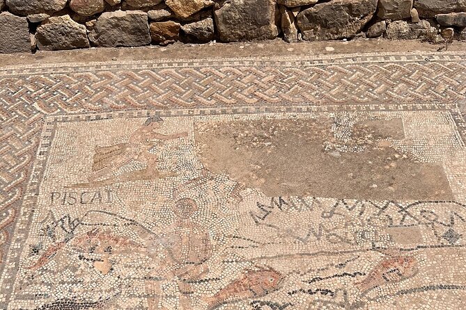 Fès to Volubilis, Moulay Idriss and Meknès Private Day Trip - Traveler Reviews
