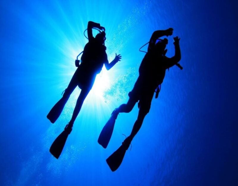 Fethiye: 2 Guided Scuba Dives with Lunch and Hotel Transfers - Good To Know