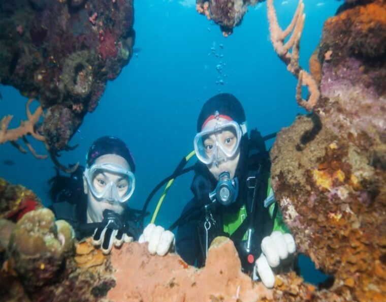 Fethiye: 2 Guided Scuba Dives with Lunch and Hotel Transfers - What Could Be Improved
