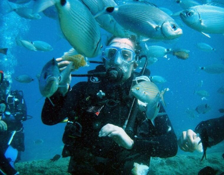 Fethiye: 2 Guided Scuba Dives with Lunch and Hotel Transfers - Who Should Book This Tour?
