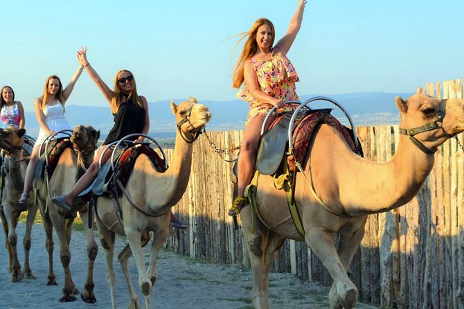Fethiye Camel Riding at Gosht Town - Preparing for Your Camel Riding Adventure