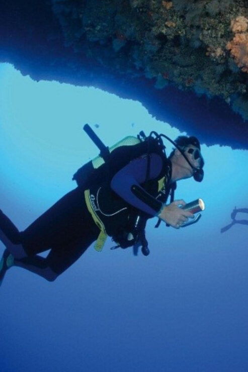 Fethiye Diving Adventure: Explore the Aegean Sea! - Key Points