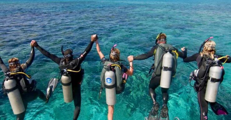 Fethiye Diving Adventure: Explore the Aegean Sea! - Experience Highlights