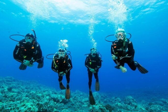 Fethiye Diving Adventure: Explore the Aegean Sea! - Itinerary and Activities