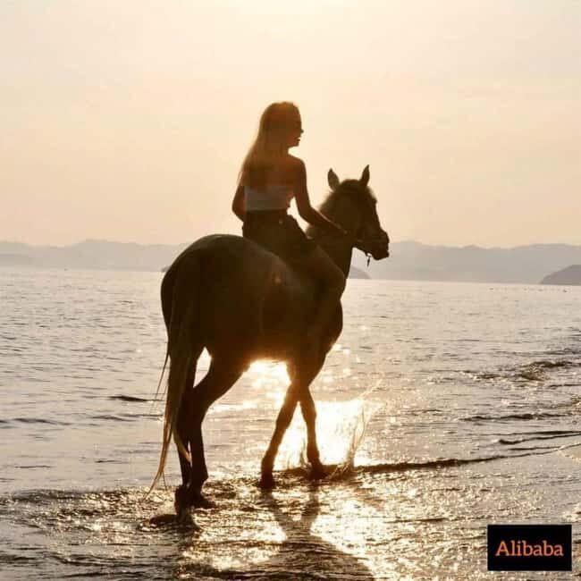 Fethiye Horse Riding in the Sea, Botanical Forest, Beach and Coastal Horseback Riding - Good To Know