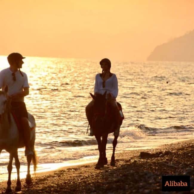 Fethiye Horse Riding in the Sea, Botanical Forest, Beach and Coastal Horseback Riding - Detailed Breakdown of the Itinerary