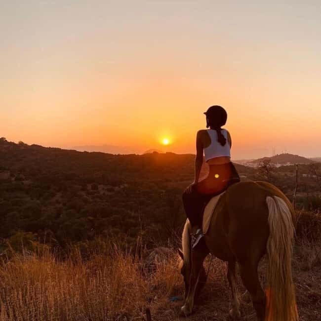 Fethiye Horse Safari Tour, Forest and Hisaronu View - Good To Know
