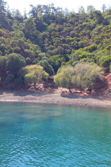 Fethiye: Islands Boat Trip With Lunch and Hotel Transfer - Booking and Cancellation Policy