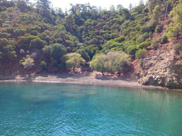 Fethiye: Islands Boat Trip With Lunch and Hotel Transfer - Customer Reviews and Feedback